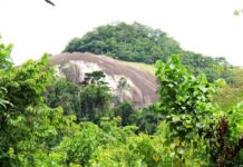 LES MONTS MAFA MAFOU DE BECEDI BRIGNAN SE LAISSENT ADMIRER