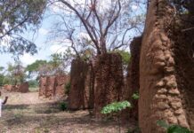 SORDY (S/P de DIAWALA): Découvrez le village à la muraille plus que centenaire …