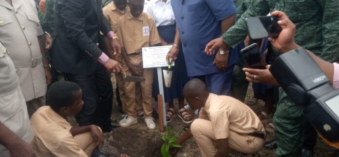 image_picker7317295920442116071-920x425